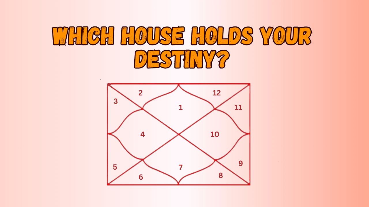 Houses in Kundali Vedic astrology chart showing planets in 12 houses with energy flow and dosha indication